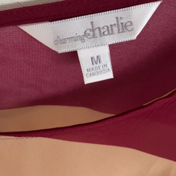 Charming Charlie sheer tunic striped blouse with split open back, Size M, NWT - Picture 3 of 5